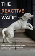 The Reactive Walk