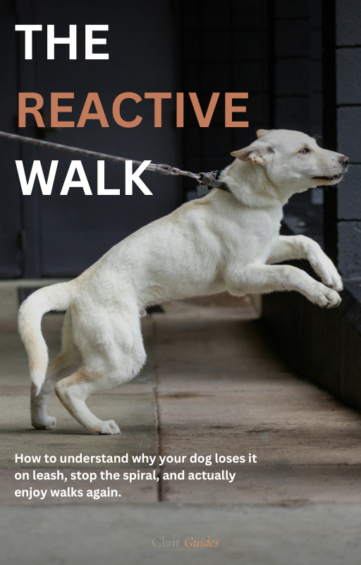 The Reactive Walk